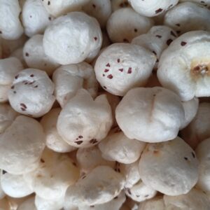 fox nuts, makhana, food, seeds, delicious, tasty, closeup, fox nuts, makhana, makhana, makhana, makhana, makhana